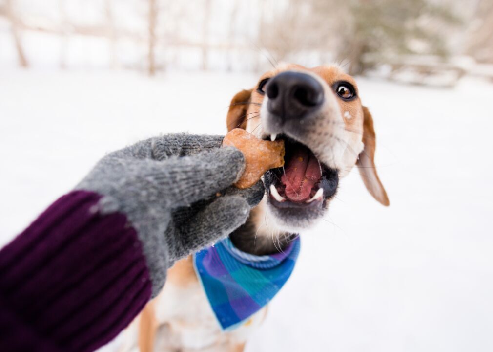 Treats and food